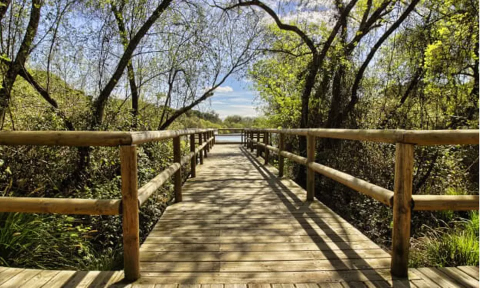 Excursión para 2 o 4 personas a Doñana con Naturanda Turismo Ambiental