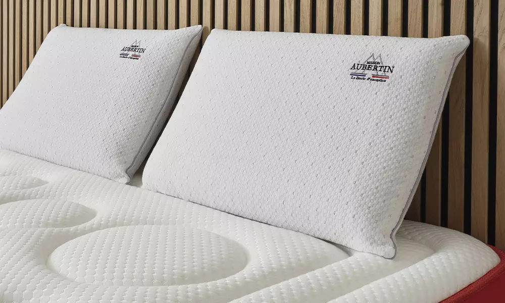 Oreiller(s) "Malva" avec mousse HR et extrait de fleurs de guimauve, moelleux et housse lavable - Primary Image