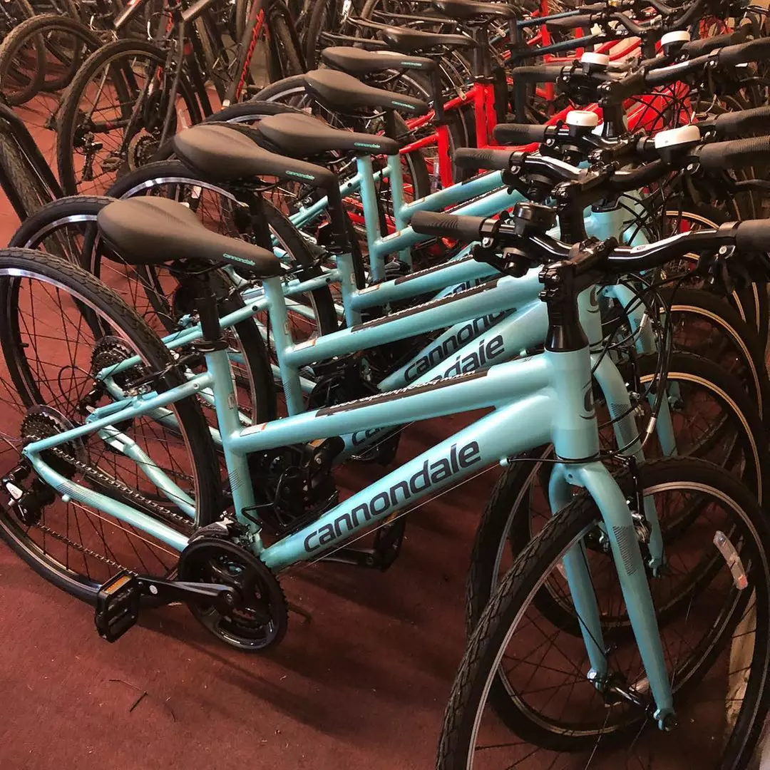 The Brooklyn Tour (Through December 31, 2024) (Up to 23% Off) - Second Medium