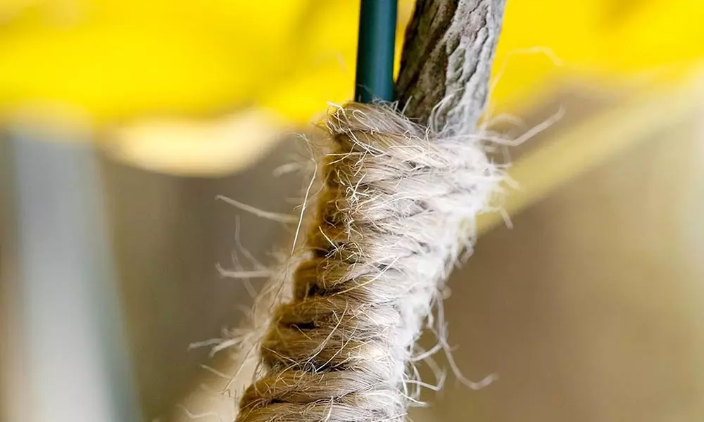 Jute naturel en chanvre pour l'artisanat et le jardinage - Primary Image