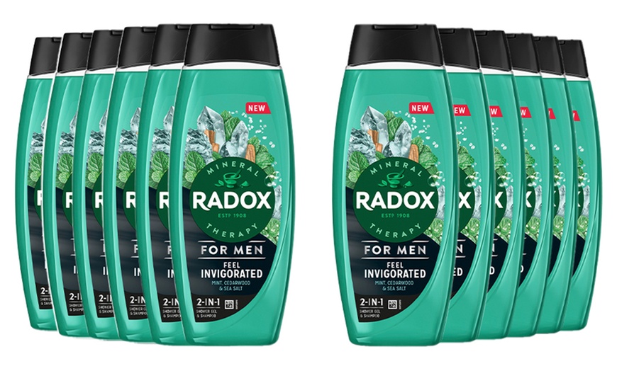 Image 5: Radox Mineral Therapy 2in1 Shower Gel and Shampoo 450ml