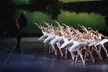 2 Tickets für „Schwanensee“: Familienballett mit Erzähler in 14 Städten bundesweit (bis 36% sparen) - Second Medium