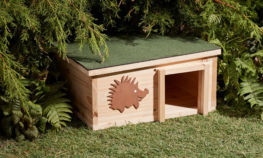 Image 1: Endangered Hedgehog House
