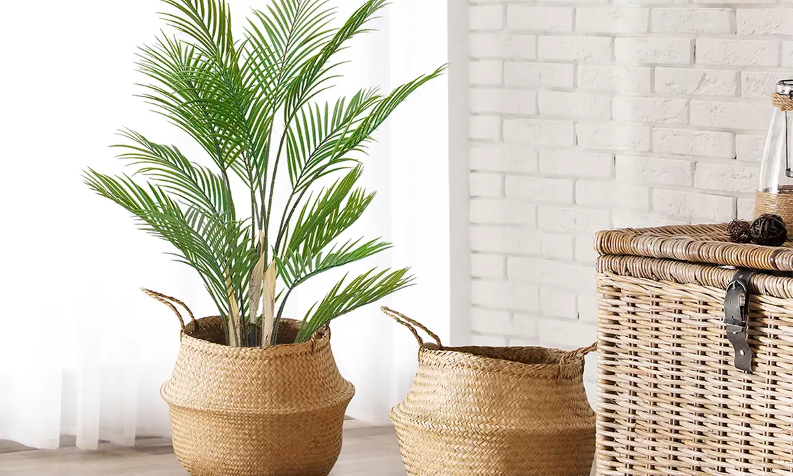 Collezione di piante finte da interno