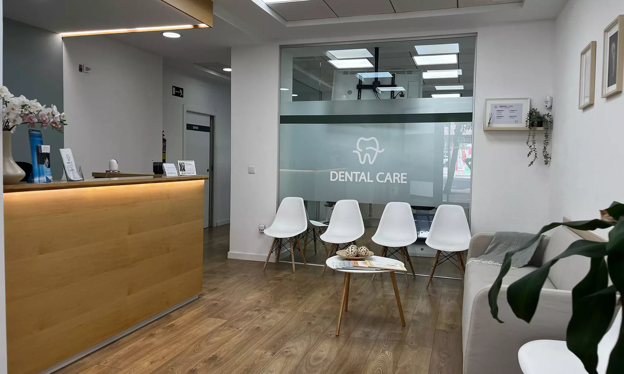 Recupera tu sonrisa: limpieza bucal con ultrasonido, revisión y pulido