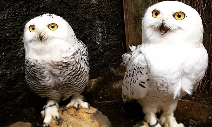 Entrada a Maroparque