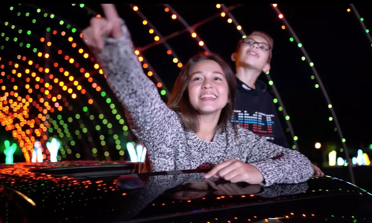 General or VIP Admission for One Carload to Radiance! Holiday Light Spectacular Through Dec. 31 (Up to 28% Off) - Primary Image