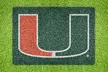 U-Stencil NCAA Home & Lawn Paint Stencil Kits (Mini, Tailgater, or Original Lawn Stencil Options Available) - Second Medium