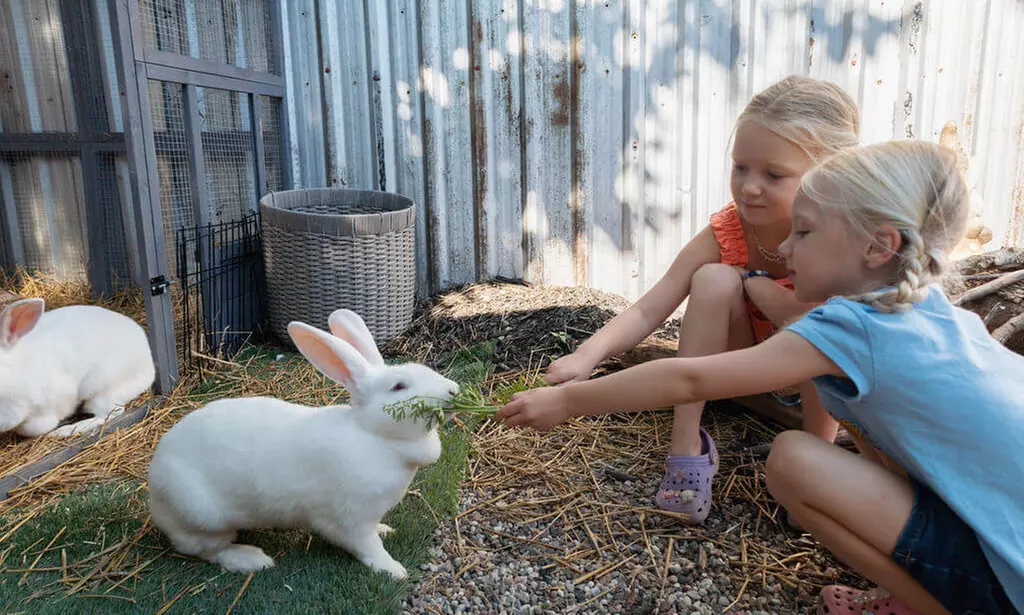 Up to 45% Off on Farm Tour at Humberstone Ranch - Primary Image