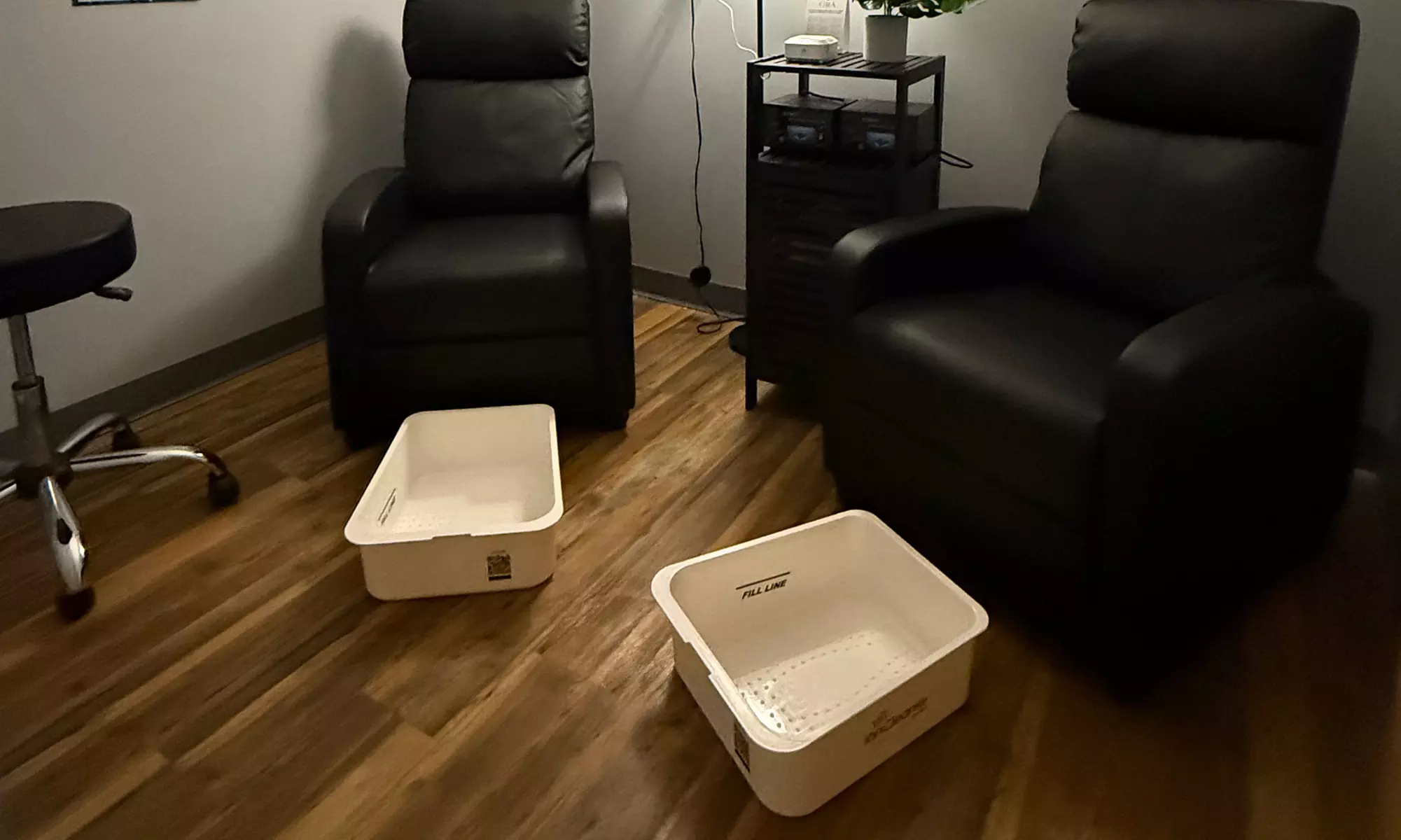 Refresh & Recharge: 30-Minute Ionic Detox Foot Bath for One or Two