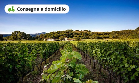 Fino a 6 bottiglie di vino dalla Tenuta La Macchia (sconto fino a 25%). Consegna a domicilio.