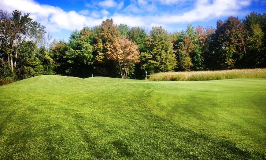 Timbers Golf Club in - Vassar, MI | Groupon