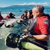 Image 8: Sea Scooter Trips with Snorkeling, Mermaids, or Flotation Therapy!