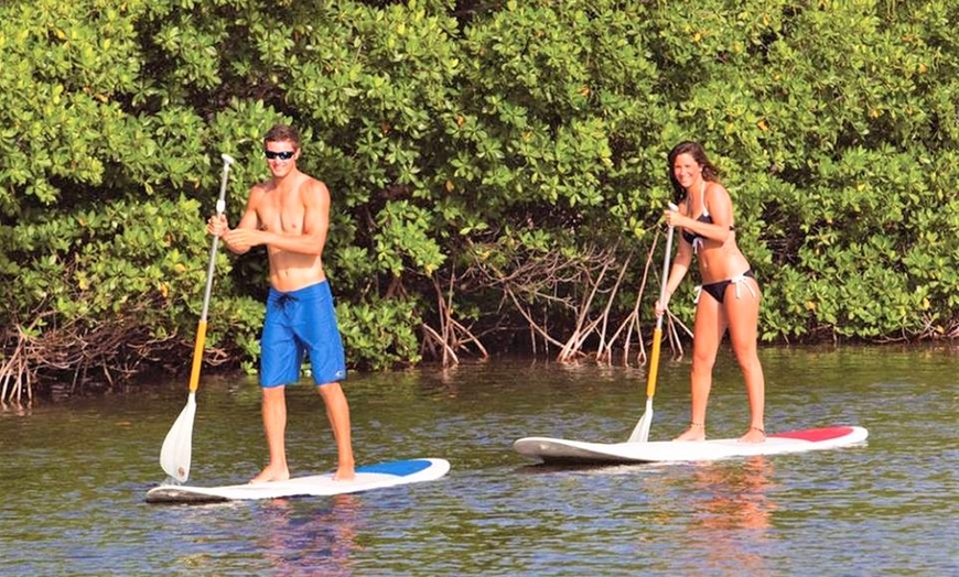 Image 2: Kayak or Paddle Board Rentals at Sunset Watersports  