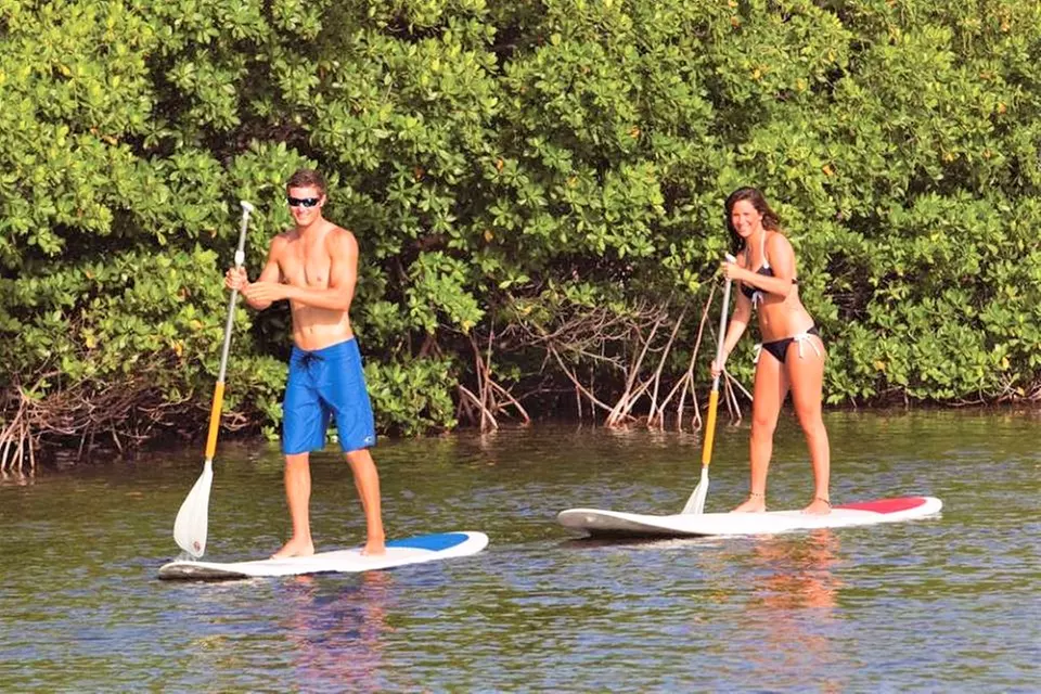 Kayak or Paddle Board Rentals at Sunset Watersports