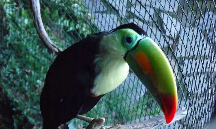 Entrada a Maroparque