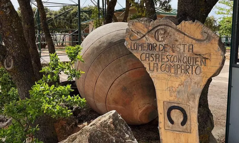 Ruta de 1 hora a caballo para hasta 4 personas con opción a iniciación