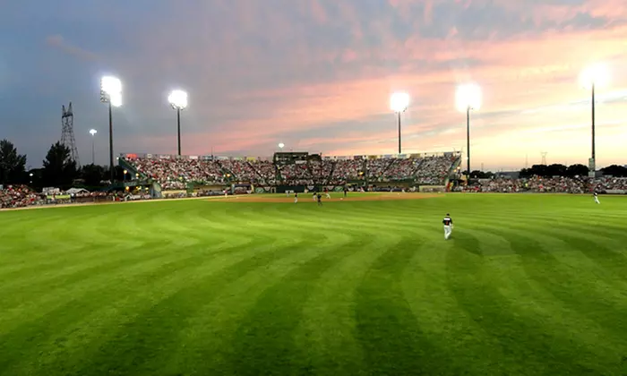 St. Paul Saints Game for Four on July 6 or 7  - Second Medium