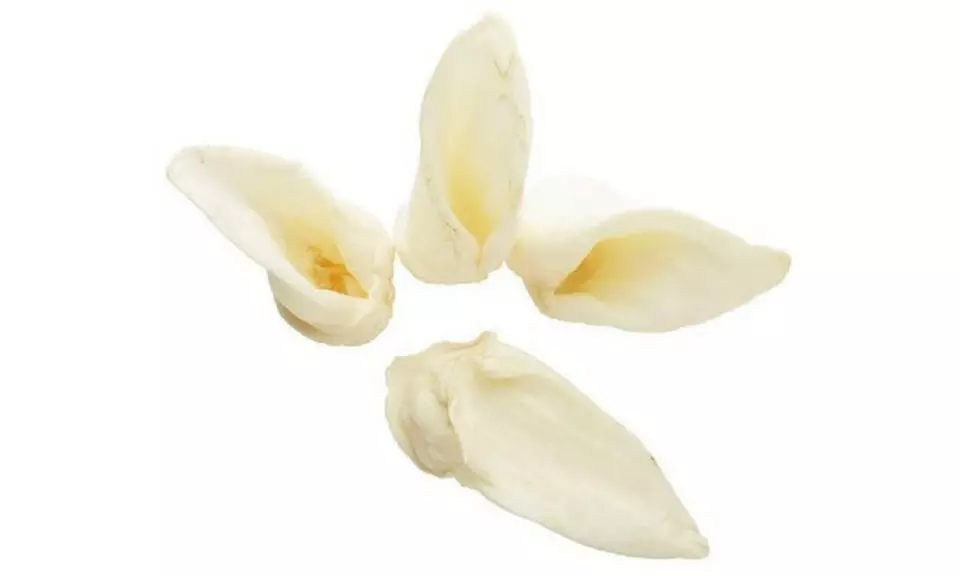 Lamb Ears for Dogs - Primary Image