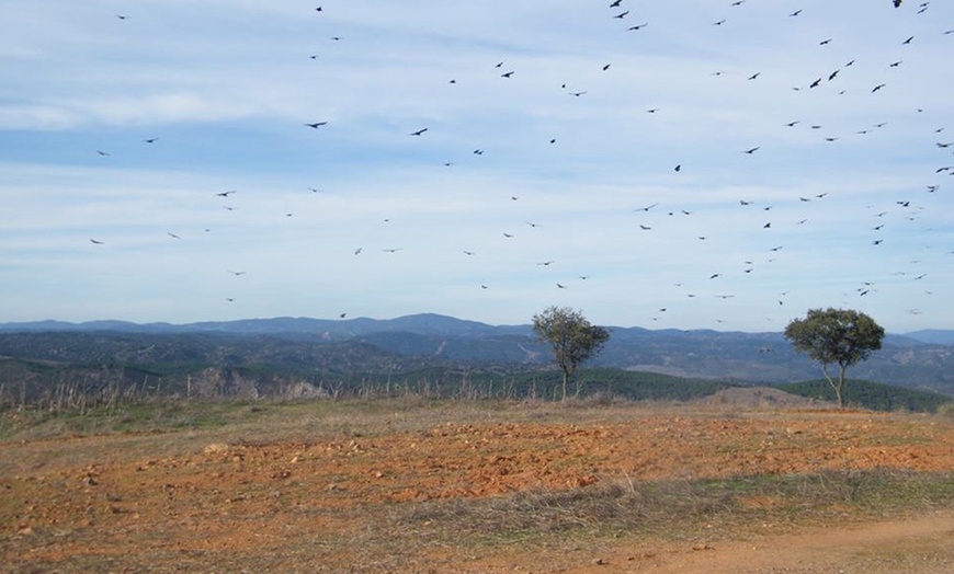 Image 19: Hasta 56% de dto. en CENTRO ANDALUZ DE LA FAUNA SALVAJE