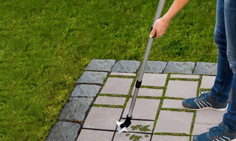 Tagliaerbe Wenko modello Zack con 4 punte in acciaio