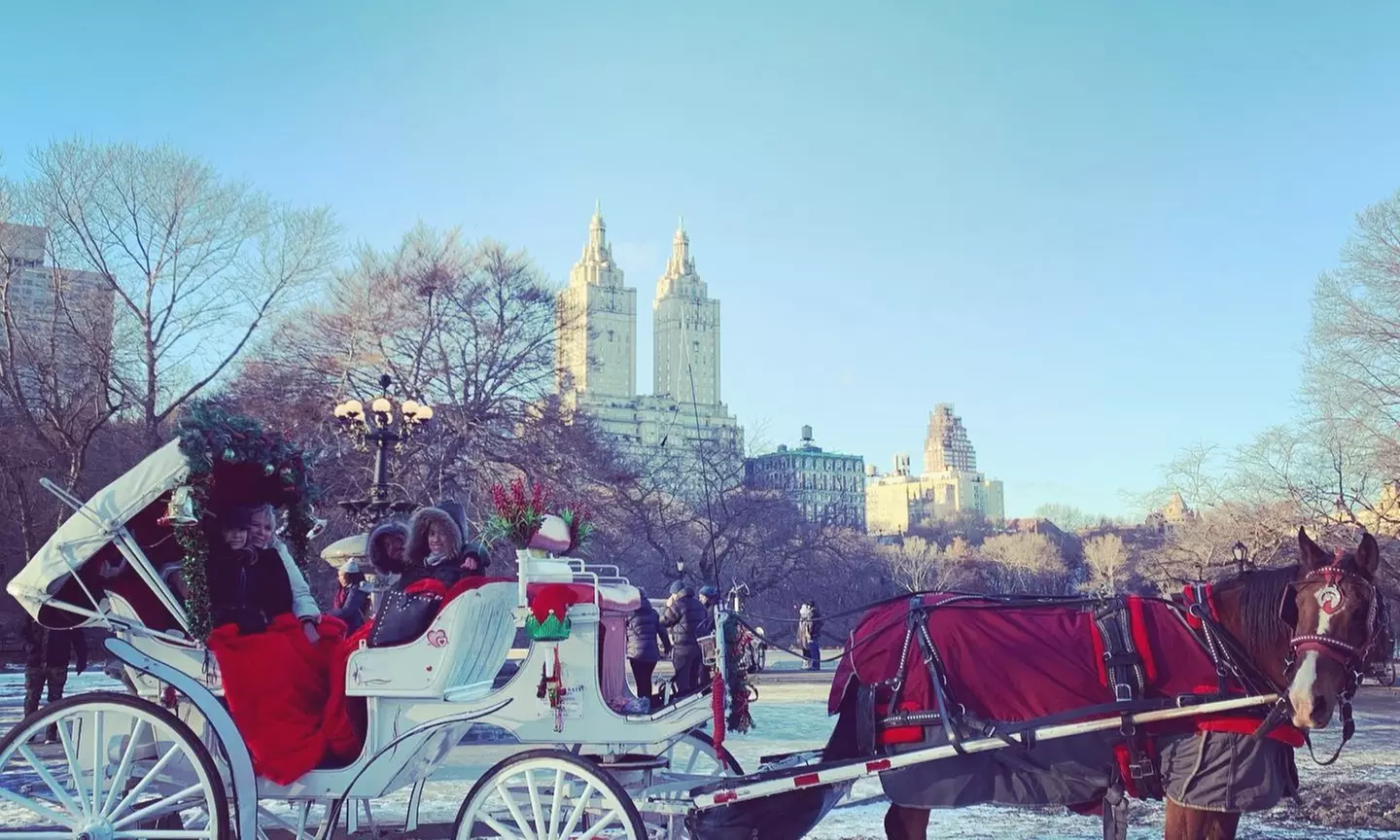 Take a Magical Horse-Drawn Carriage Tour of Central Park, 5th Avenue, and Other Iconic Landmarks with NYC Adventures - Primary Image