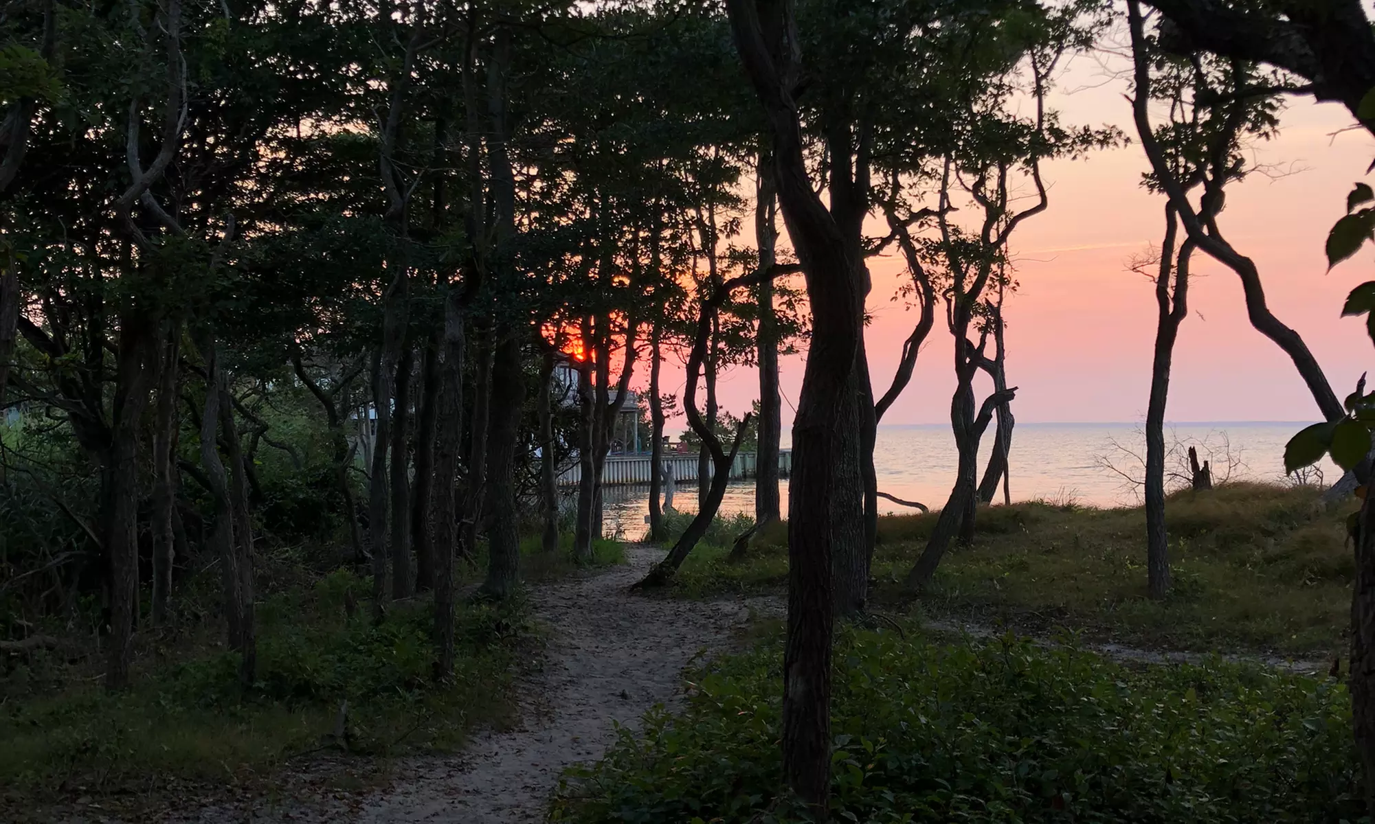 Private Downtown or Fire Island Walking Tours at New York City Walking Tours (Up to 38% Off). Six Options. - Second Medium