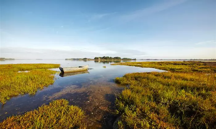 Golfe du Morbihan : 1 à 3 nuits avec petit-déjeuner à l'hôtel Alicia pour 2 personnes - Second Medium