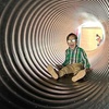 Image 6: 42% Off Corn Maze and Pumpkin Patch at Chesterfield Berry Farm