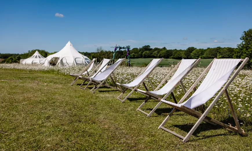 Image 14: Wildflower Meadow Afternoon Tea for Two or Four – Relax & Unwind at Finchingfield Lavender Field! (Up to 45% Off)