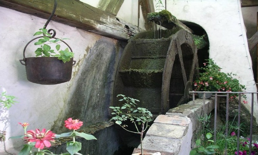 Image 7: Menu du Terroir en 4 services au Moulin de la Sambuc