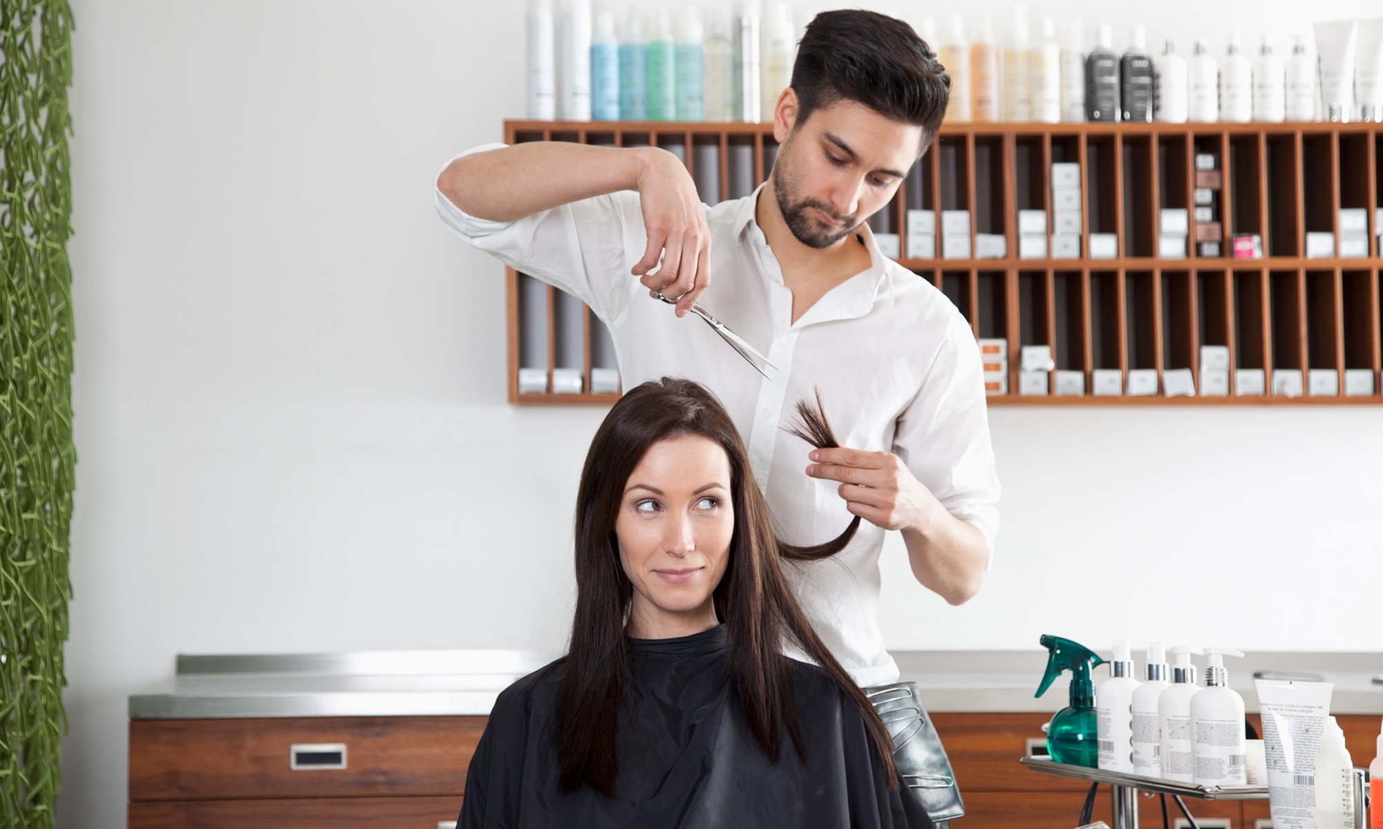 Wash, Cut and Blow-Dry