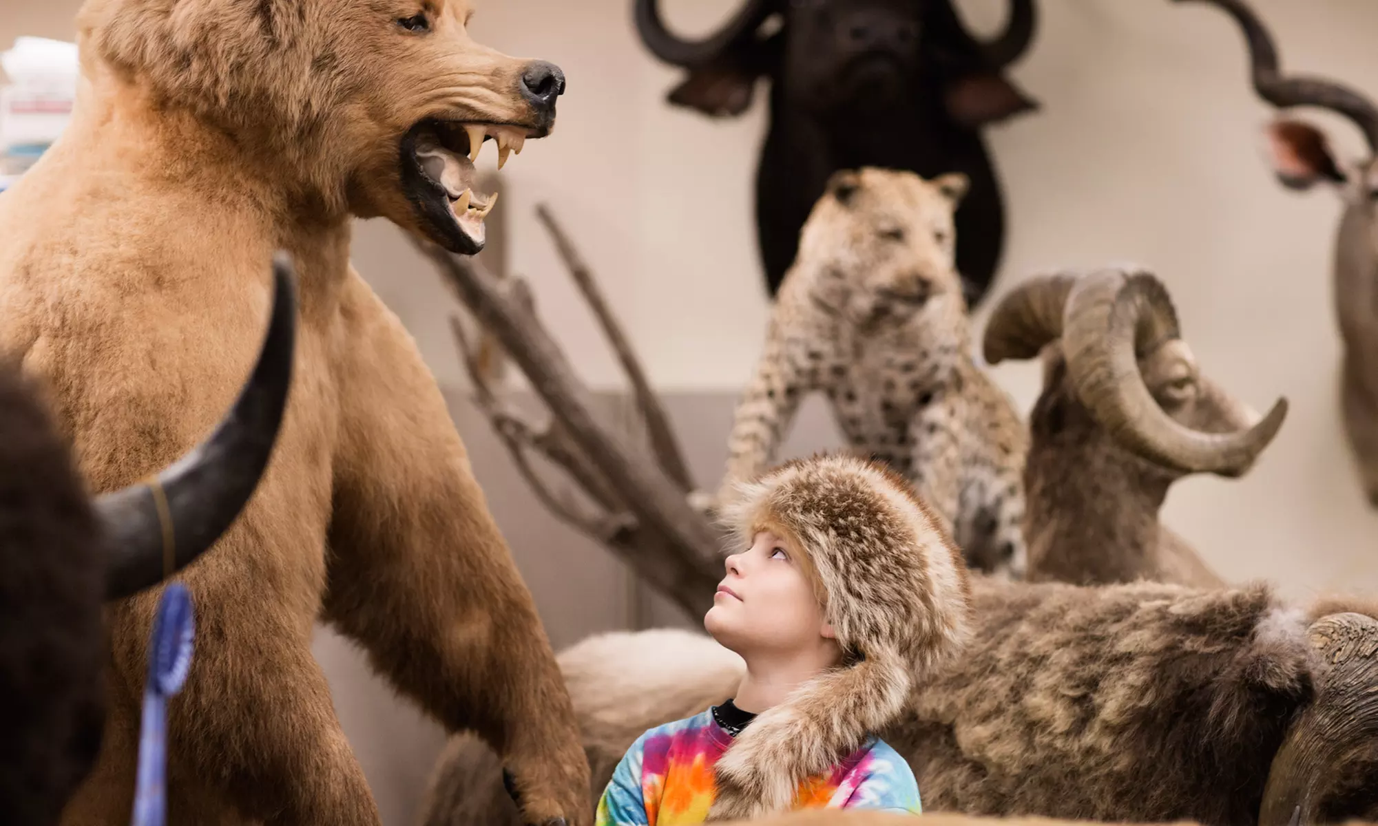 Admission for One Child or Adult at Key West Shipwreck Treasure Museum - Primary Image
