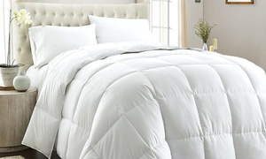 800GSM Warm Microfibre Quilt