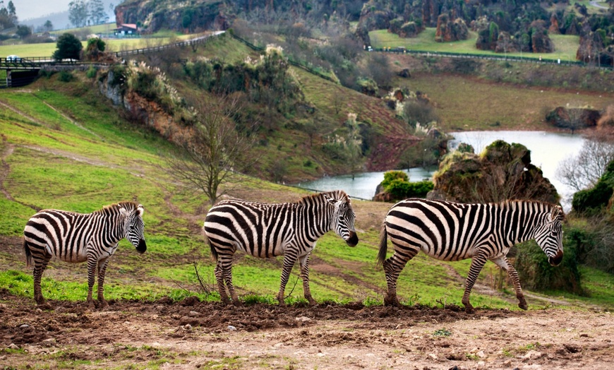 Image 2: Parque de la Naturaleza de Cabárceno: entrada para hasta 4 personas