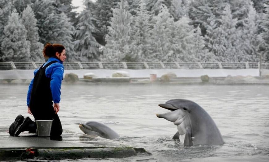 Image 8: Ontdek de dieren van de zee en neem zelf een duik in het Dolfinarium