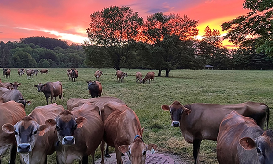 Image 8: Experience Billings Farm And Museum