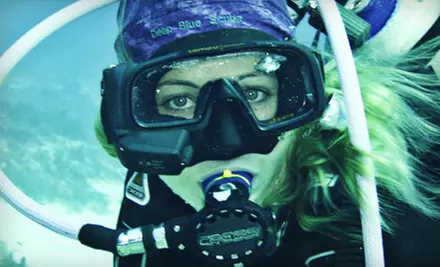 Scuba-Refresher Course or Open-Water Scuba-Certification Class at Deep Blue Scuba - Primary Image