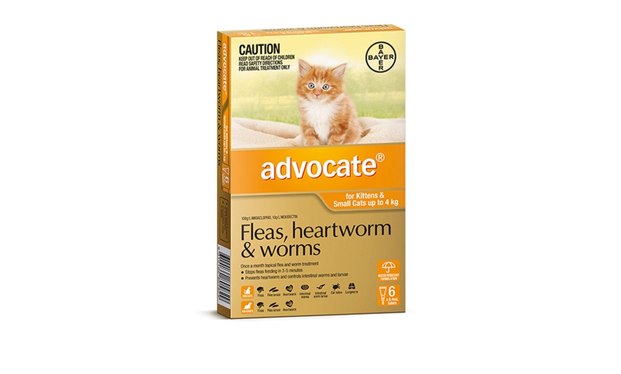 Image 4: Advocate 6-Pack Flea Treatment