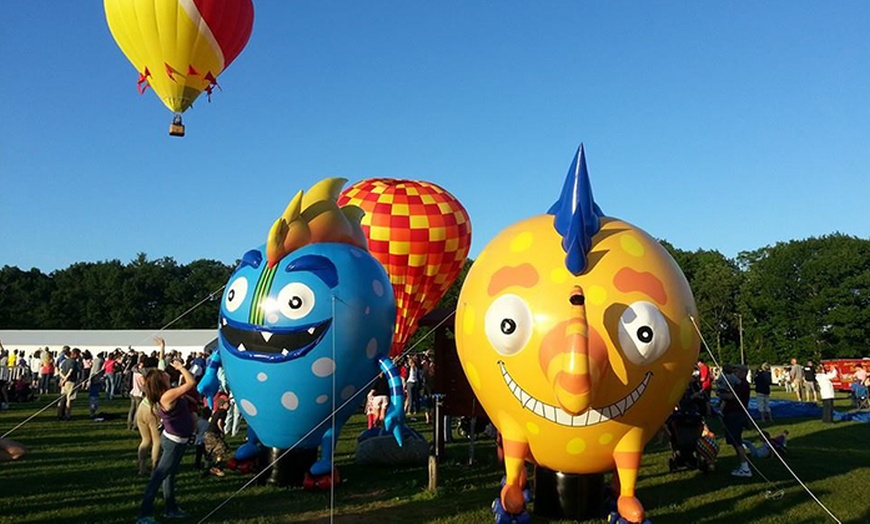 Image 6: International Balloon Festival