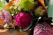 Two Hour Floral Arrangement Class in Brooklyn! Tulips and Sips – Beginner Friendly Flower Workshop-Up to 35% Off - Second Medium