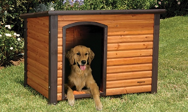 K9 hotsell dog house