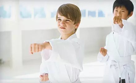 $20 for Eight Classes and Uniform at Elite Tae Kwon Do Academy ($140 Value) - Primary Image