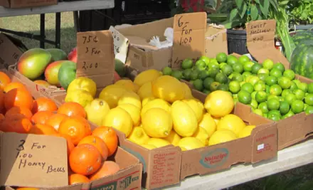 $10 for $20 Worth of Fresh Produce, Baked Goods, and Locally Sourced Fare at City of Parkland Farmer's Market - Primary Image