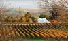 $15 for $30 Worth of Mediterranean Café Fare Plus Wine Tasting for Two at Garre Winery & Café in Livermore