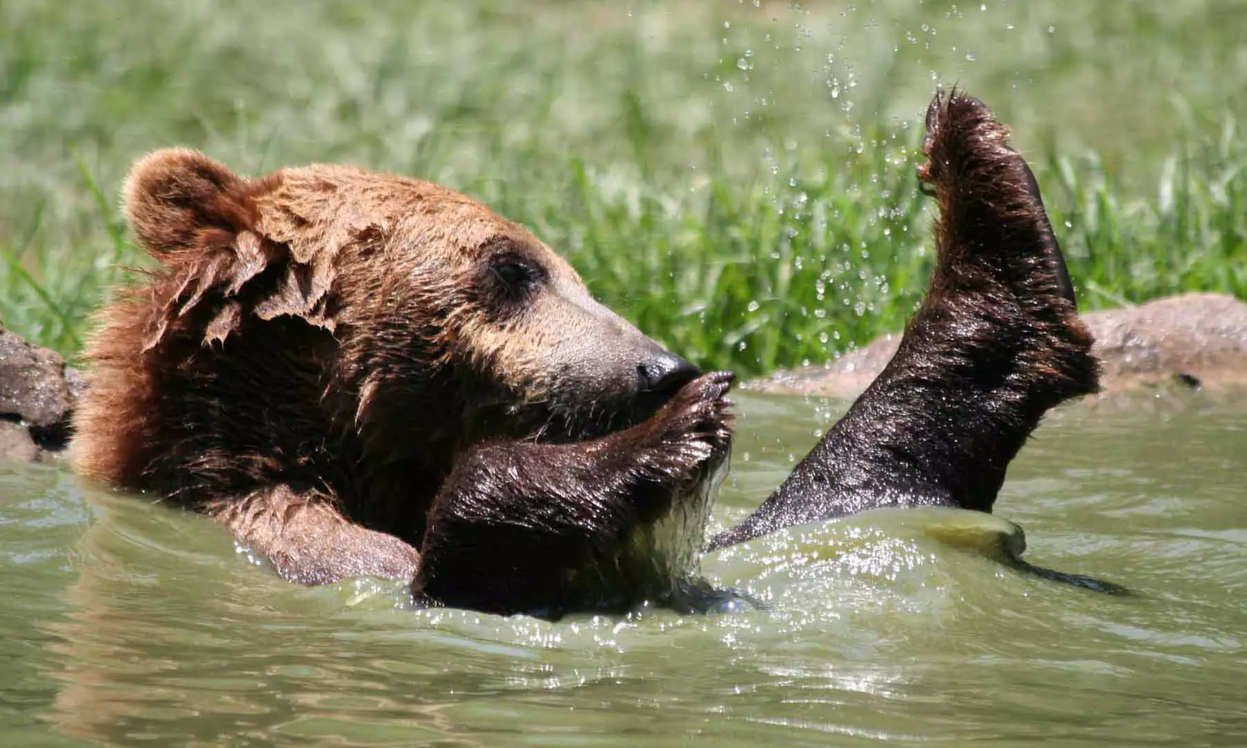 Admission for Two Adults or Two Adults and Two Kids to Hollywild Animal Park (38% Off) - Primary Image
