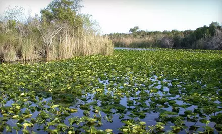 $23 for Airboat Tour of the Everglades for Two and Alligator Show from Everglades Holiday Park (Up to $46 Value) - Primary Image