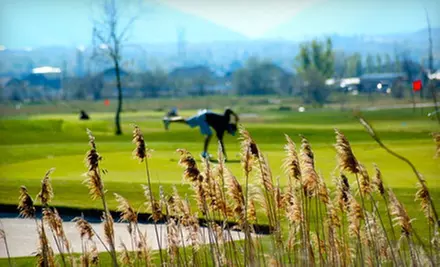 $20 for a Nine-Hole Golf Outing with Cart and Range Balls for Two at Crane Field Golf Course ($42 Value) - Primary Image