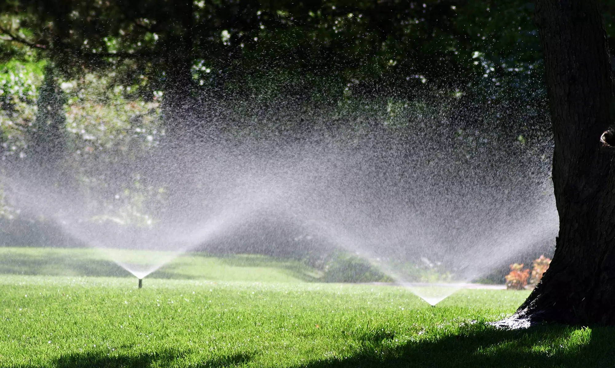 $45 for Residential Sprinkler Activation and Tune Up from Sprinkler TECHS ($99 Value) - Primary Image