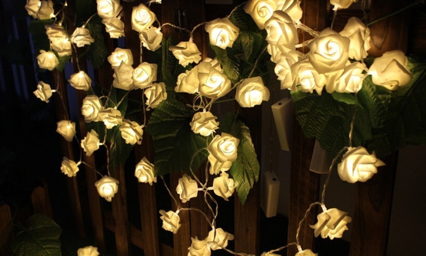 Image 4: Strings of 20-30 LED Roses